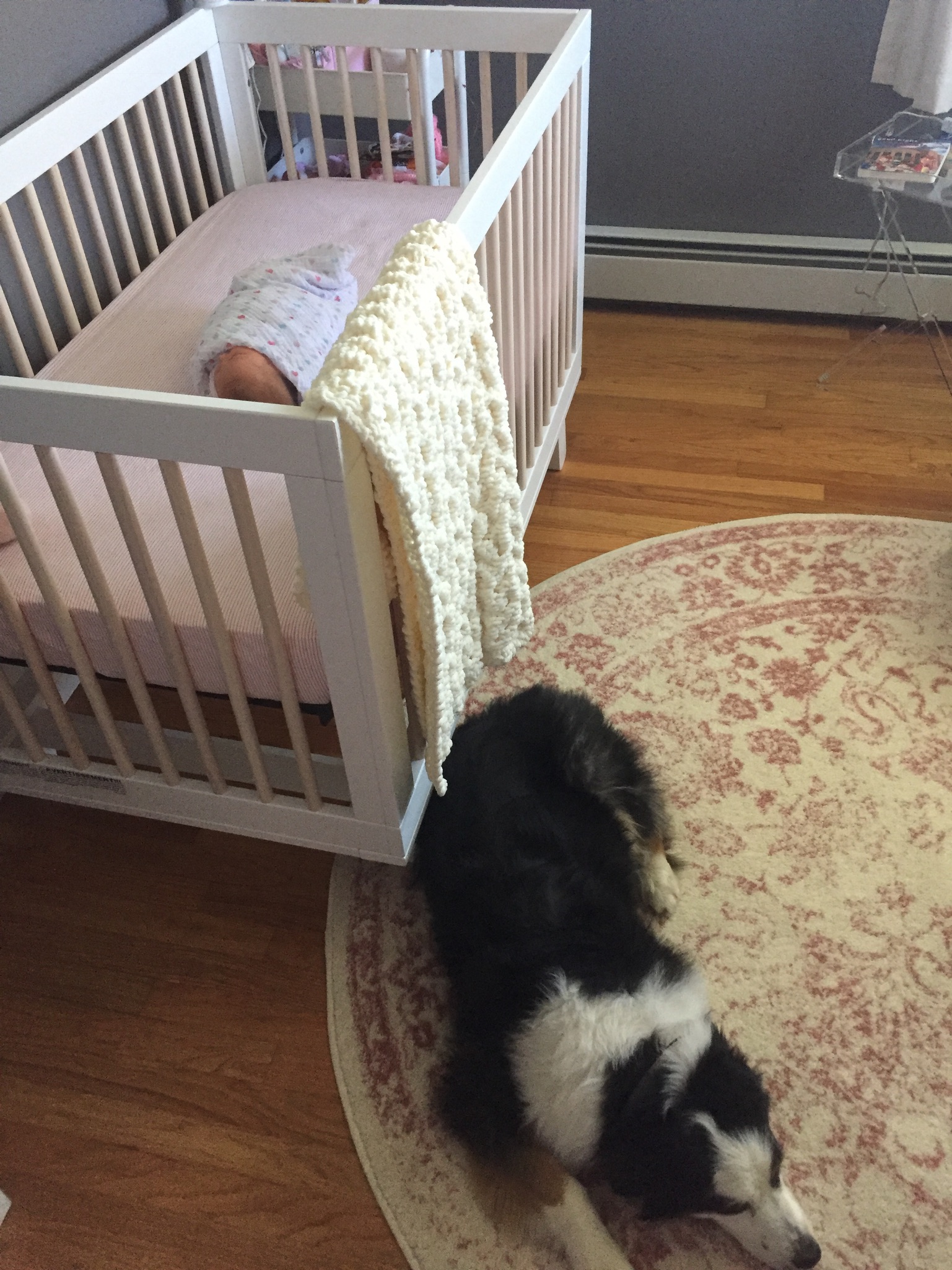 The Protector 090217